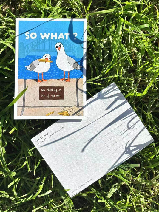 9to5 Studios +61 Studio SO WHAT? postcard set displaying front design with sea chips and back text 'don't give a crap' on thick 650gsm cardstock