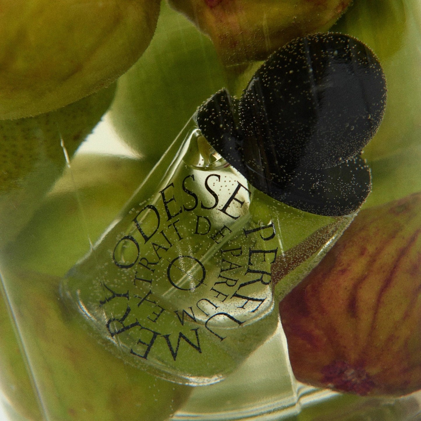 9to5 Studios Odesse Fig Lane Extrait De Parfum