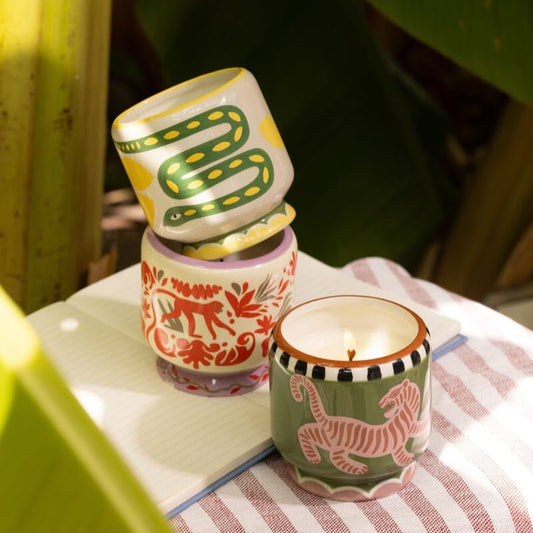 Paddywax A Dopo Jungle candle with coconut and amber scent in decorative packaging