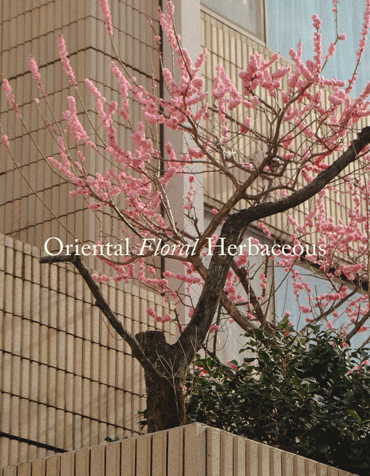 Posie Candle UME in amber jar with white tea, chrysanthemum, and plum scent, handmade natural soy wax candle