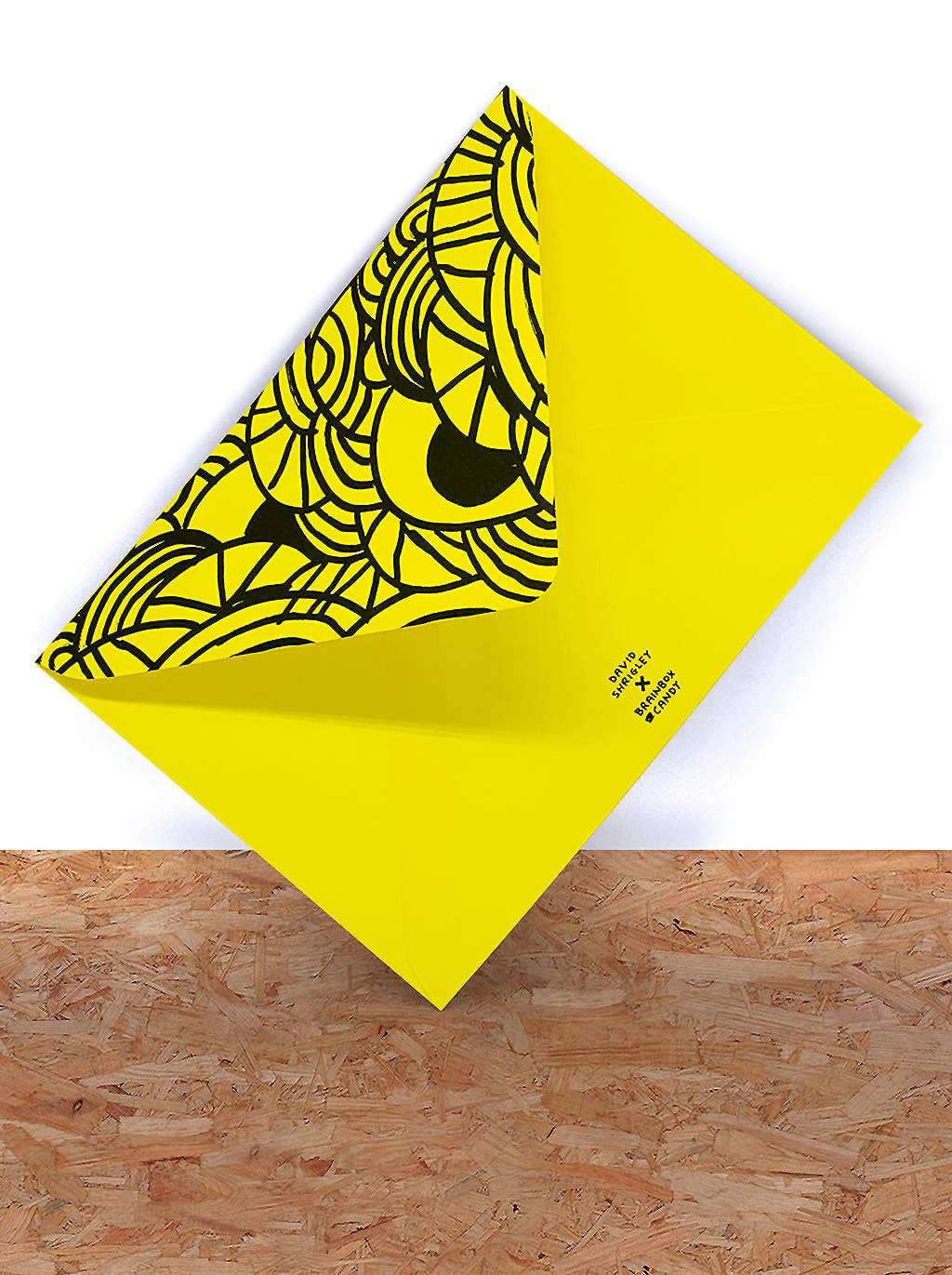Funny David Shrigley cat master greeting card with quirky humor and neon yellow envelope