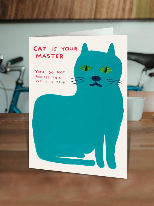 Funny David Shrigley greeting card featuring quirky cat illustration with neon yellow envelope
