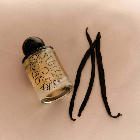 Odesse perfume bottle with dried vanilla pods on blush fabric at 9to5 Studios