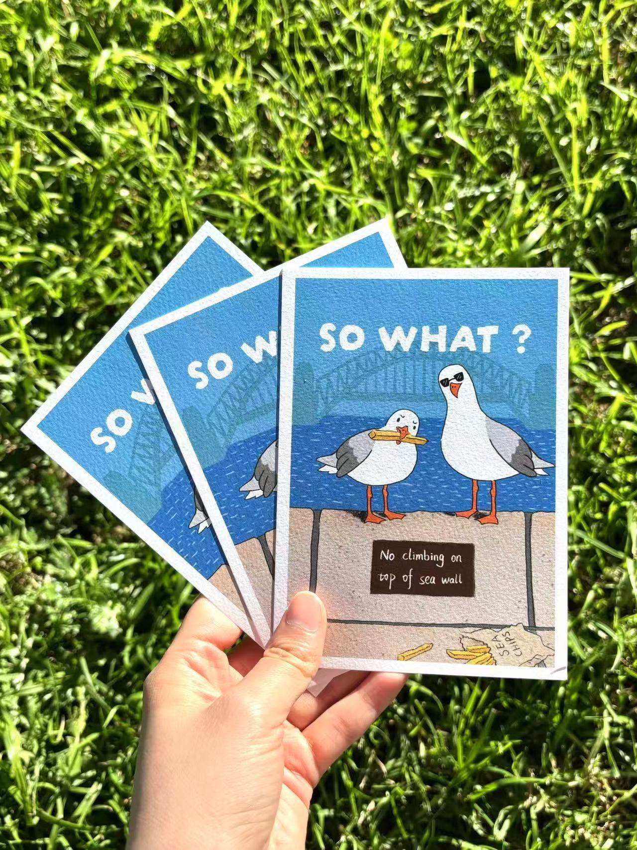 9to5 Studios +61 Studio SO WHAT? postcards fanned out showing deckled edges and matte premium texture on green grass under sunlight