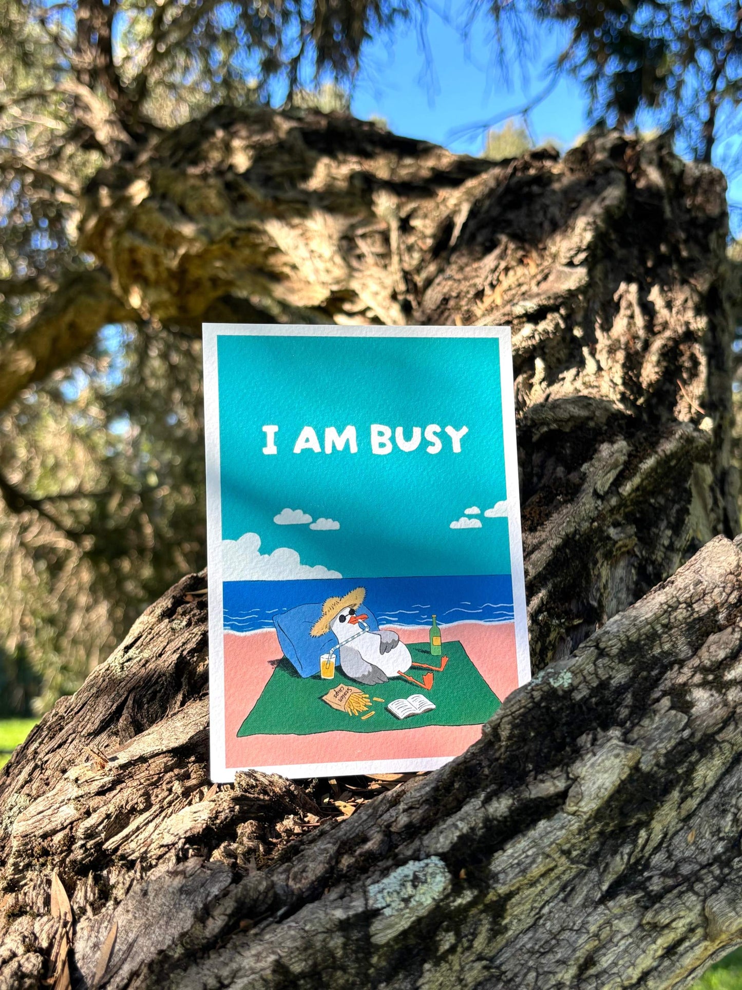 9to5 Studios +61 Studio I AM BUSY Aussie humour postcard standing on gnarled tree trunk with dappled sunlight