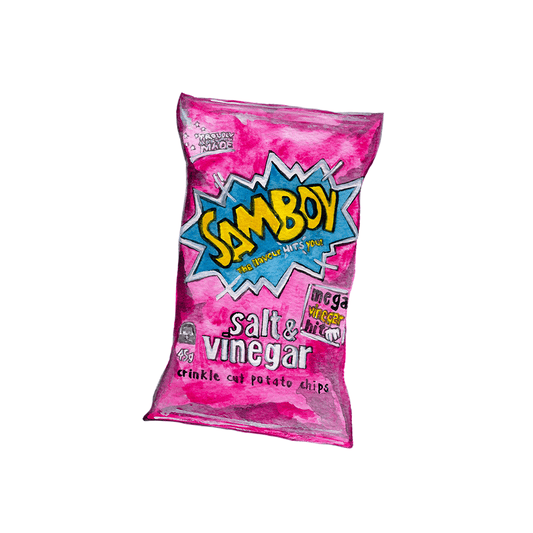 Samboys salt and vinegar snack packet magnet on black background