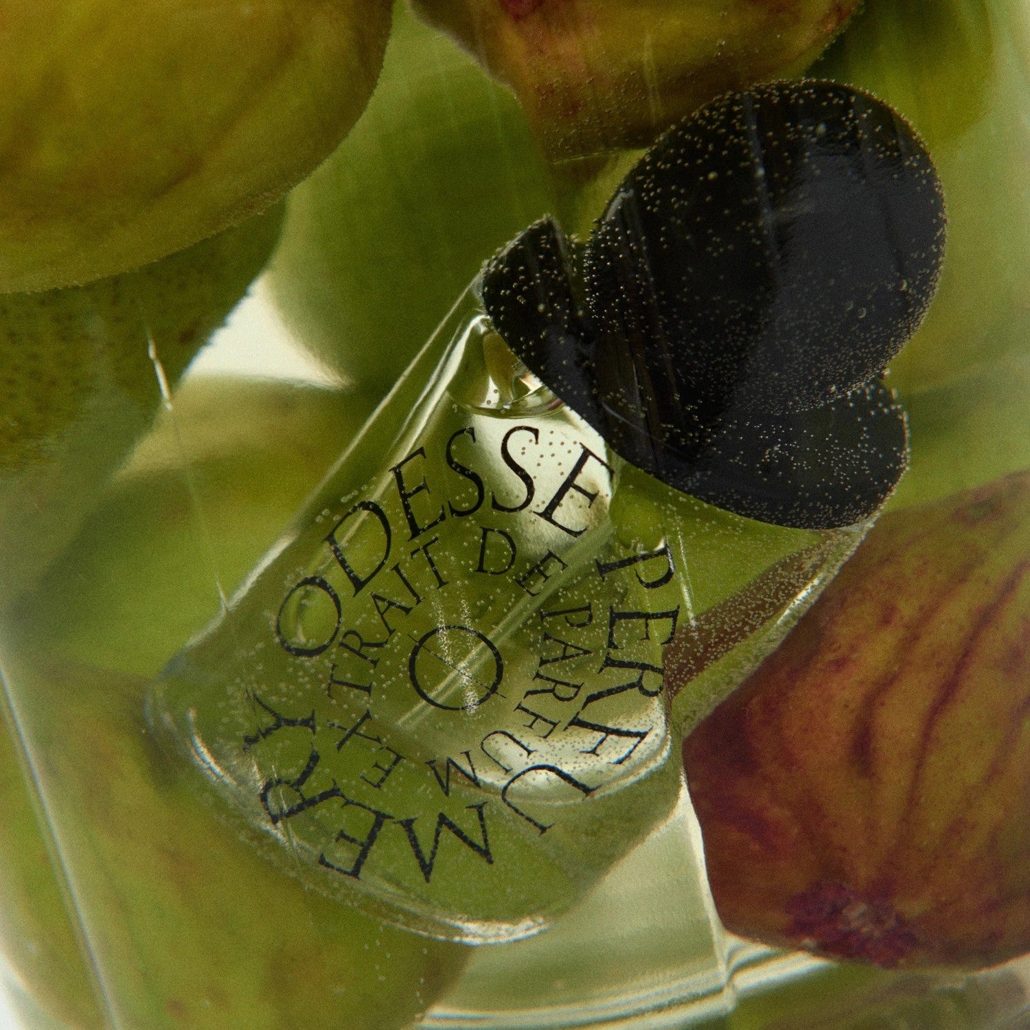 9to5 Studios Odesse Fig Lane Extrait De Parfum