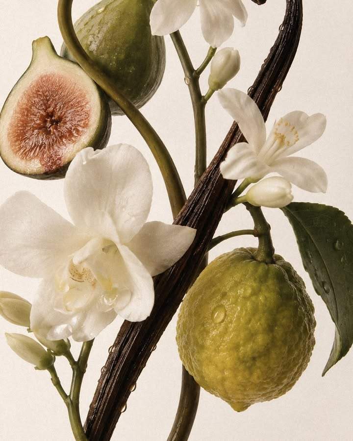 Odesse Morning Skin 植物成分：無花果、佛手柑、香草與花卉