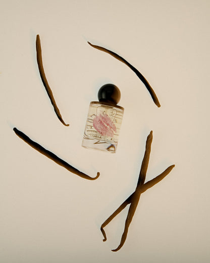 9to5 Studios_Odesse Vanilla Vanilla Extrait De Parfum