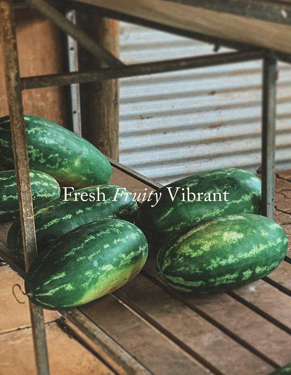 9to5 Studios_Posie Candle PIP: Watermelon / Cucumber / Basil_Australian soy wax candles