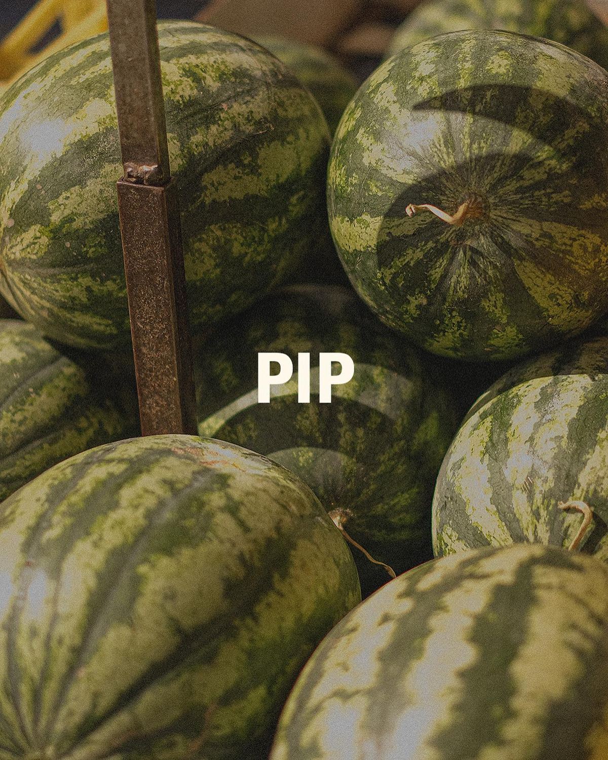 9to5 Studios_Posie Candle PIP: Watermelon / Cucumber / Basil_Australian soy wax candles
