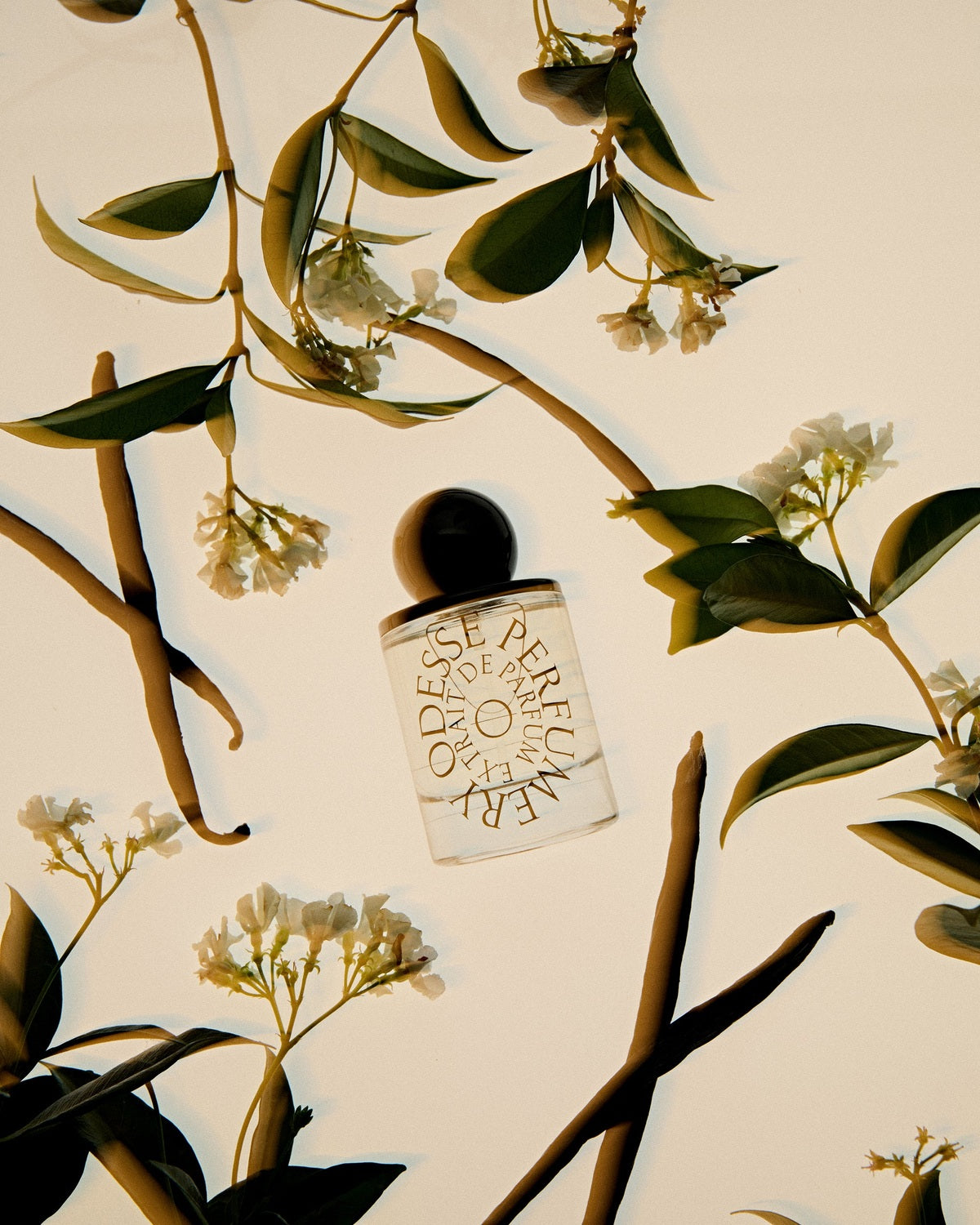9to5 Studios Odesse_StyledImagery_ExtraitdeParfum14