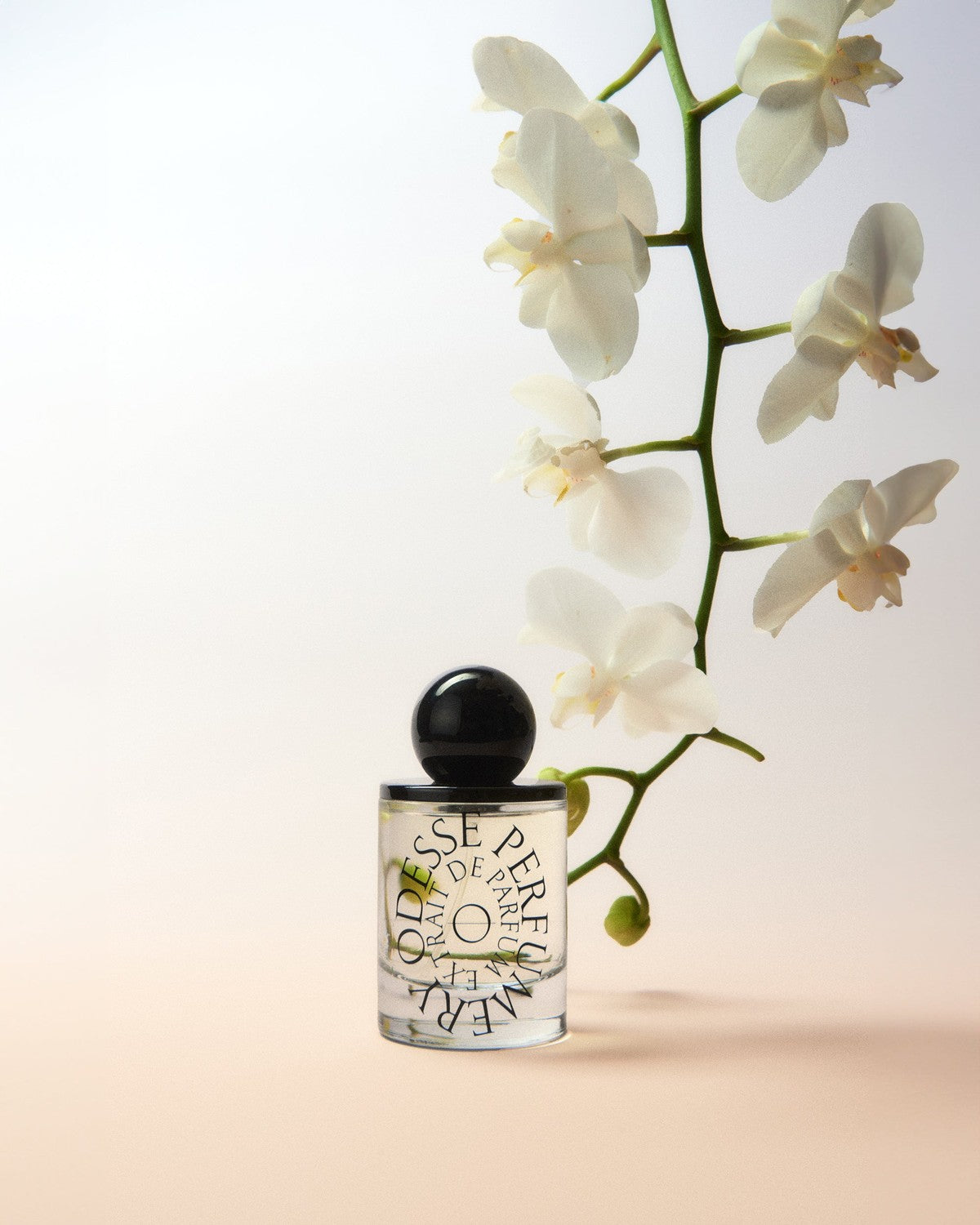 9to5 Studios Odesse_StyledImagery_ExtraitdeParfum18