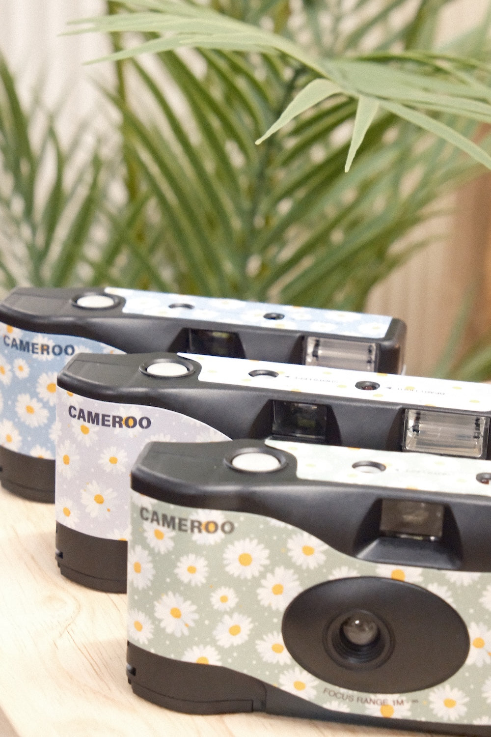 9to5 Studios Cameroo Disposable 35mm Film Camera - Daisy Bloom - Fresh Daisy