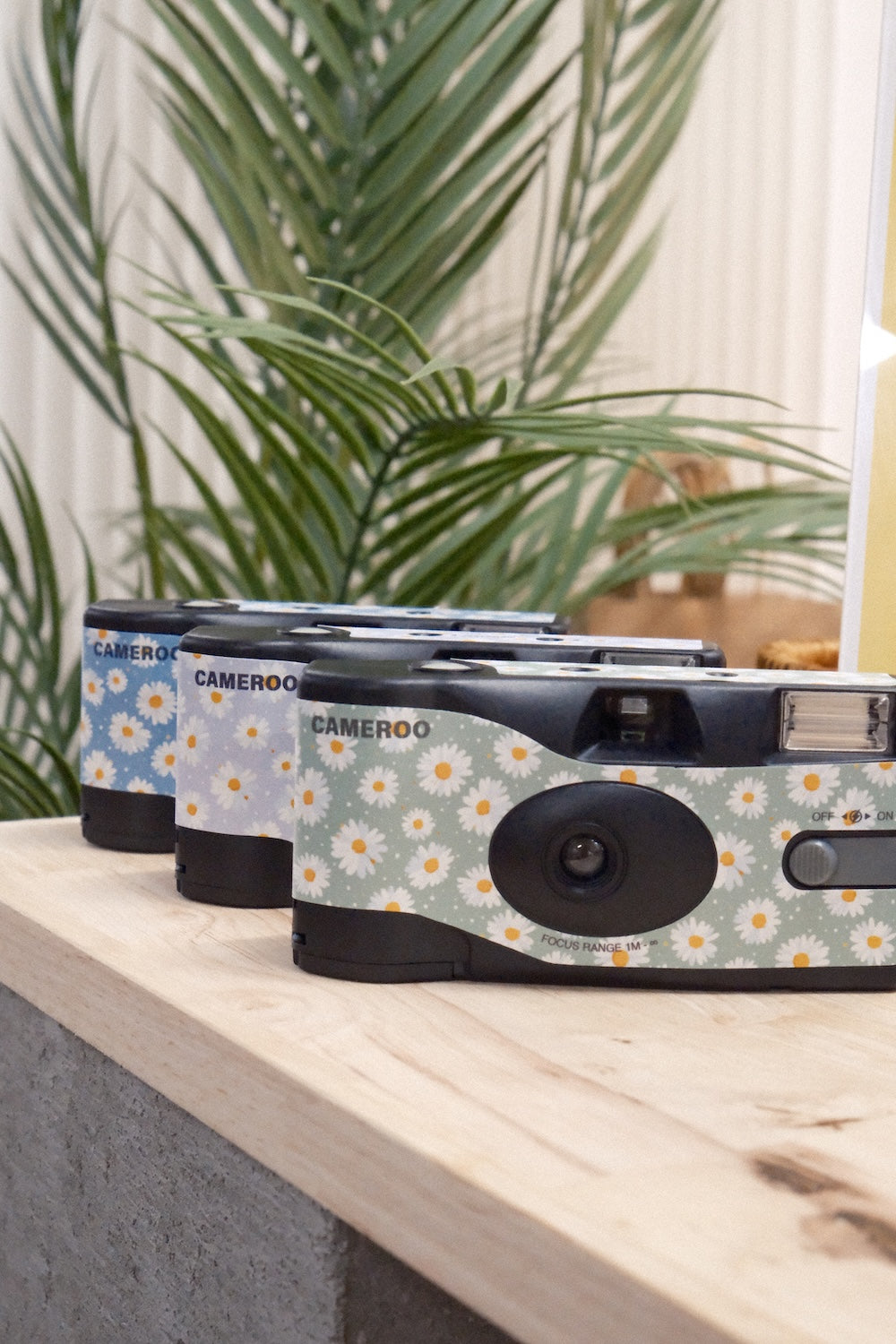 9to5 Studios Cameroo Disposable 35mm Film Camera - Daisy Bloom - Ocean Bloom