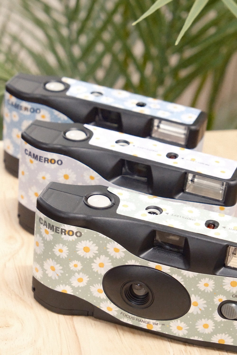 9to5 Studios Cameroo Disposable 35mm Film Camera - Daisy Bloom - Ocean Bloom