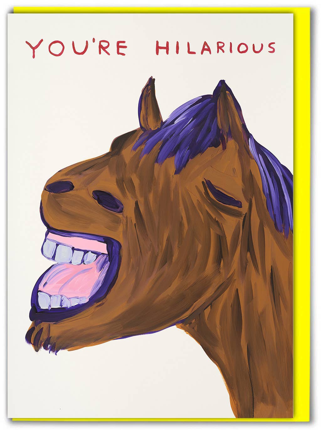 9to5 Studios_Funny David Shrigley Greetings Card - You're Hilarious