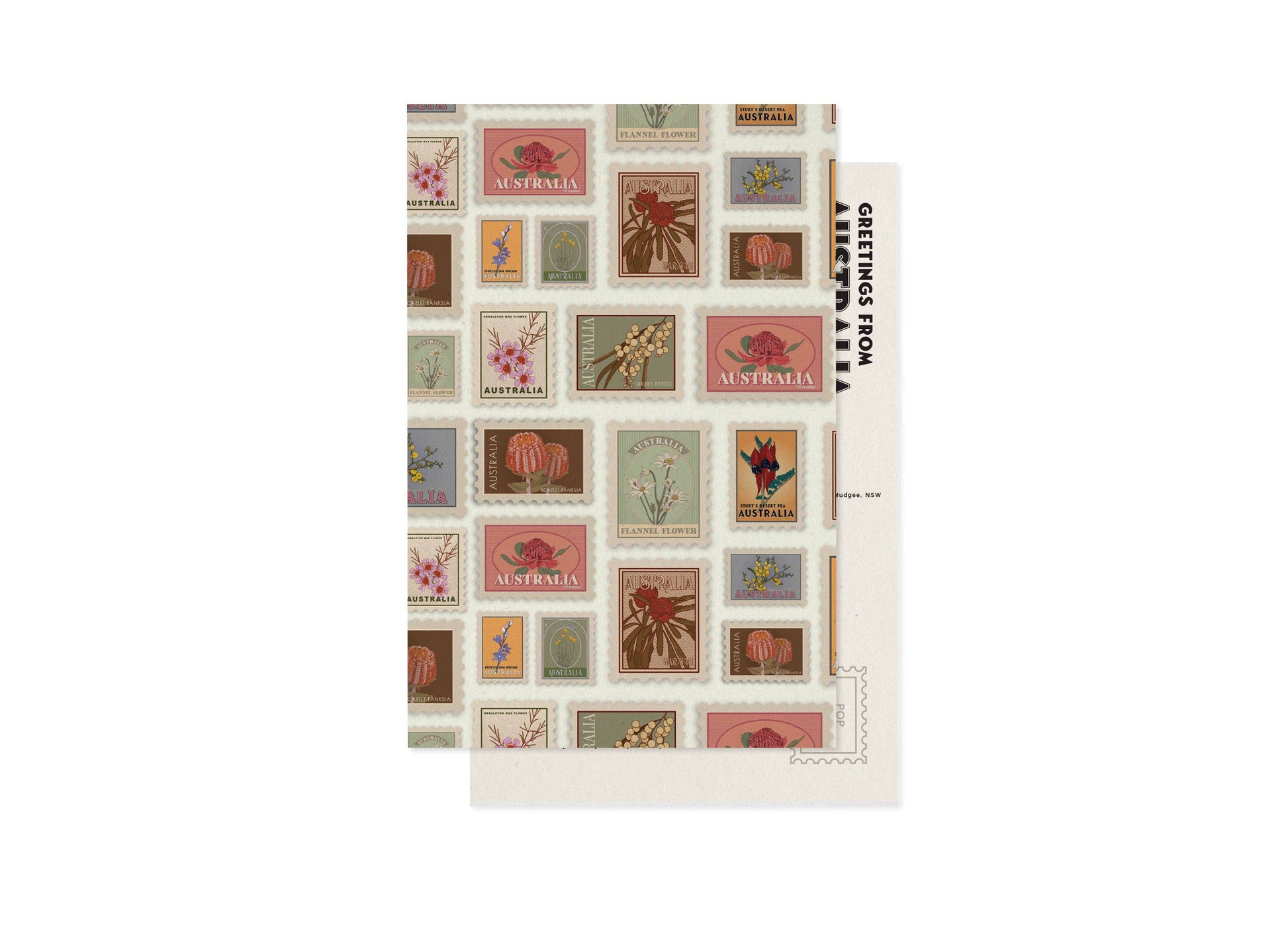 Vintage Australia souvenir postcard by 9to5 Studios featuring Waratah and Flannel Flower stamps on recycled cardstock